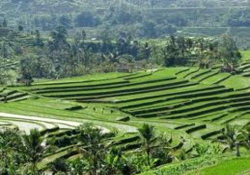 Desa Ujung Tobak Pembangunan Nasional 